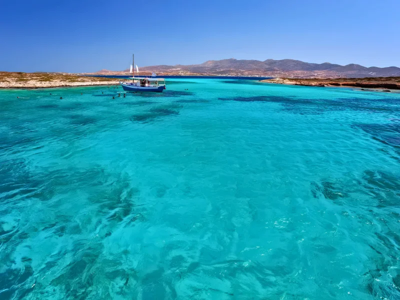 Ρήνεια
